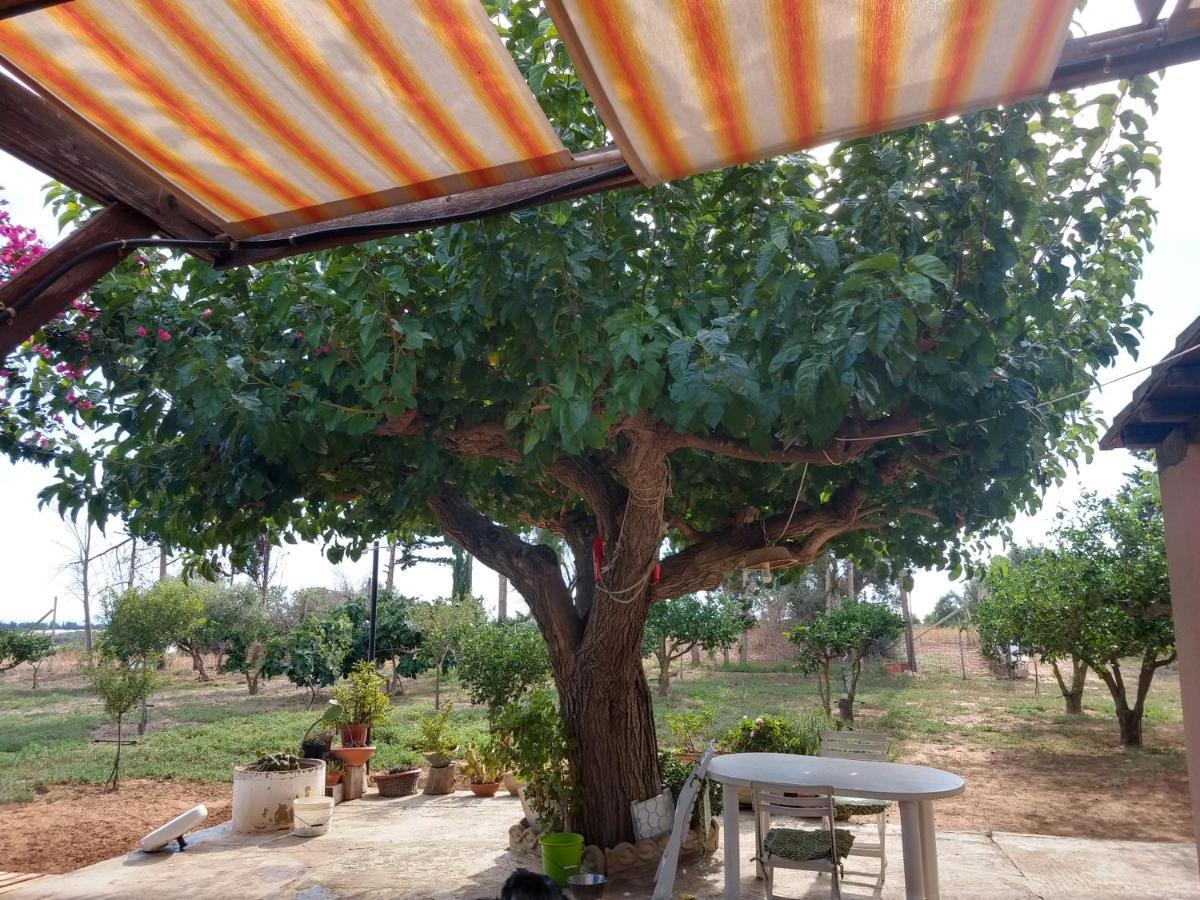 Il Gazebo Acomodação com café da manhã Scoglitti Exterior foto