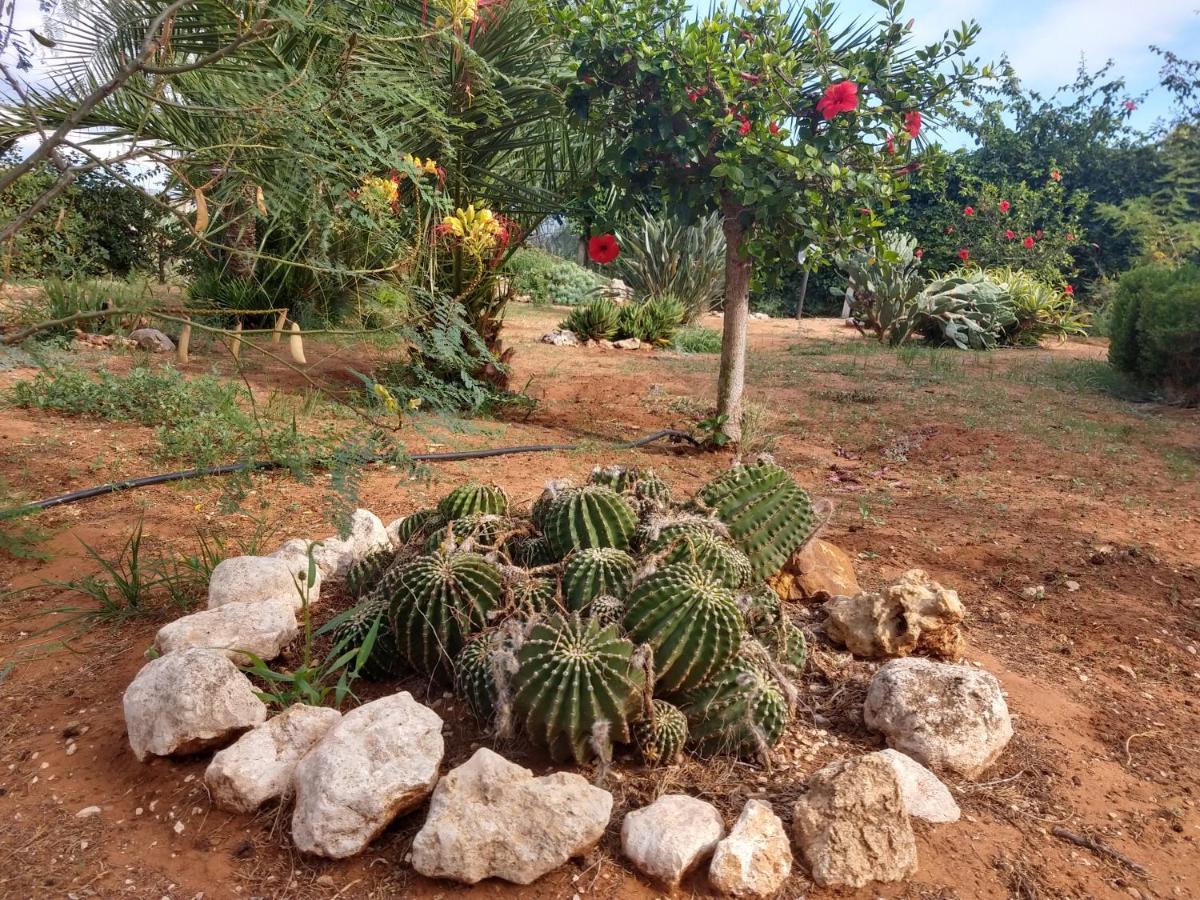 Il Gazebo Acomodação com café da manhã Scoglitti Exterior foto