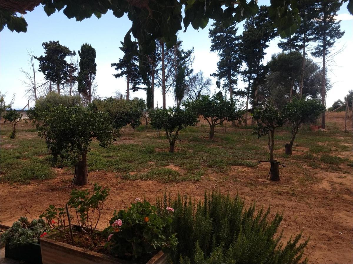 Il Gazebo Acomodação com café da manhã Scoglitti Exterior foto